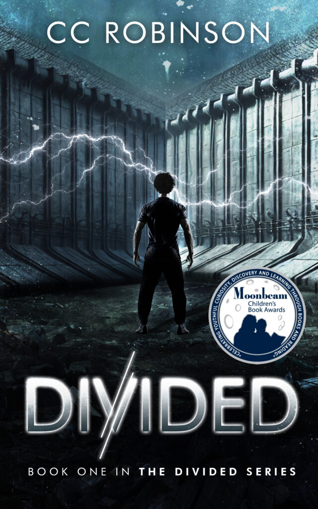 Divided cover with the Moonbeam Childrens Book Award 2024 sticker