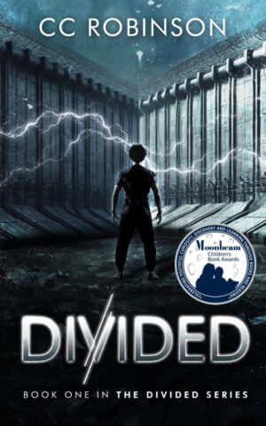 Divided: Book One in the Divided Series PAPERBACK