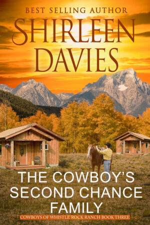 The Cowboy's Second Chance Family